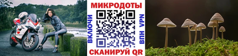 Купить где  Одинцово  Галлюциногенные грибы мицелий 